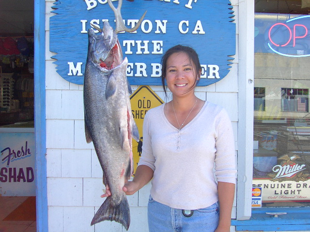 Fishing Tackle Vista California